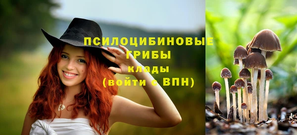молекула духа Саяногорск