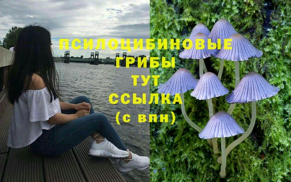 кристаллы Сатка