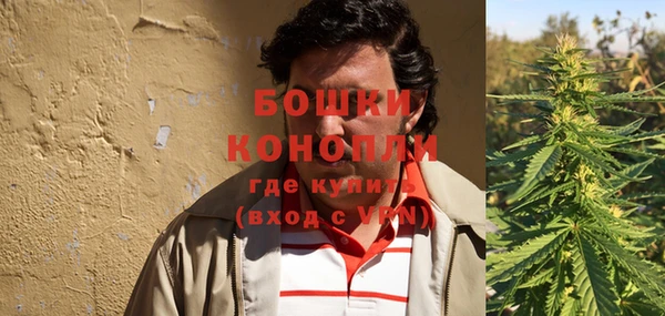 молекула духа Саяногорск